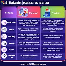 mainnet vs testnet key differences