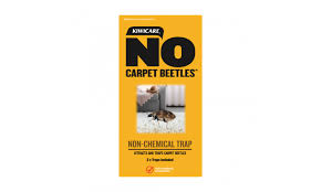 carpet beetle case moth kiwicare