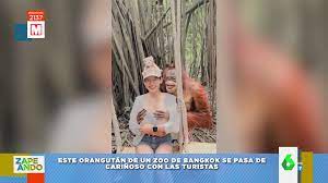 El vídeo viral de un orangután con una turista: así le toca las tetas  mientras posan para la foto