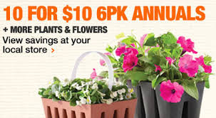 You do need to check the stock over carefully to home depot for mail order flower bulbs? Hot 10 For 10 6 Pack Annual Flowers At Home Depot