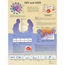 Hiv And Aids Chart