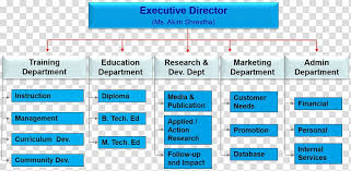 Organizational Structure Organizational Chart Training And