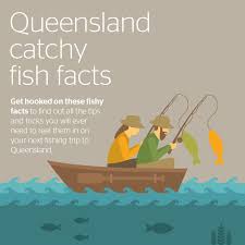 Fishing Infographic Fishing Queensland Australia