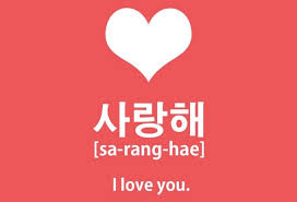 Selamat pagi pak/bu= sungeng enjang pak/bu selamat pagi sayang=sugeng enjang sayang. Belajar Bahasa Korea Sehari Hari Untuk Pemula Lengkap Dengan Artinya
