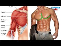 best outer chest workout for full