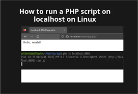 run a php script on localhost on linux