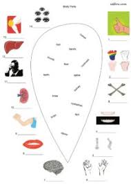 Identify the parts marked and label them with. 3 Body Parts Vocabulary Worksheets For English Language Students