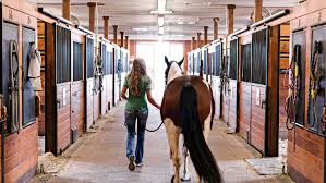 equine science major admissions