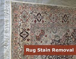 oriental rug cleaning in san go ca