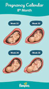 8 months pregnant symptoms and fetal