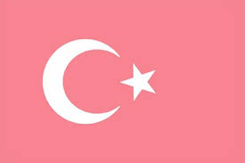 Maddesine göre, şekli kanunda belirtilen, beyaz ay. Fotomontage Turkiye Bayragi Pixiz
