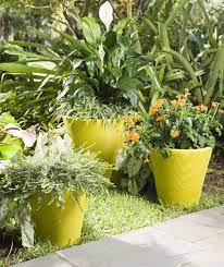 The Art Of Container Gardening Eplanters