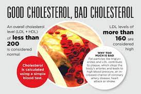 cholesterol level mean for your health