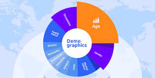demographic data segmentation