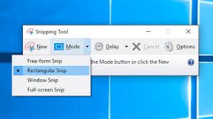 For how to take a screenshot on a dell laptop with the best method ice cream is one of them. How To Take A Screenshot On Dell Laptop Or Desktop Techowns