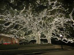 Christmas Lights In River Oaks Neighborhood Houston
