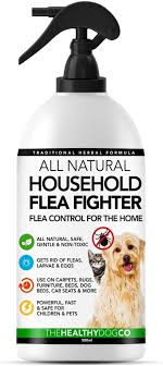 the healthy dog co flea spray for the