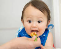 Comment mixer les aliments pour bébé ?