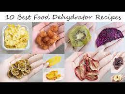 10 best food dehydrator recipes you