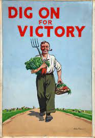 how to plant a victory garden 2020