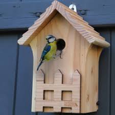 nichoir oiseaux une cabane et maison