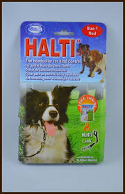 Halti Head Harness Pets Plus Obedience Training School Ltd