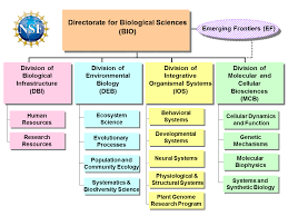 Organic Levels Of Biological Organization