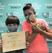 To ensure the best adoption experience, the humane society of charlotte has instituted adoption hsc has an adoption program established to find homes for cats and kittens currently being treated for ringworm. Pets For Adoption Maui Humane Society