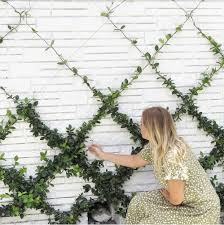 How to make a trellis wall for a confederate jasmine evergreen vine. Diy Diamond Espalier Wall Climbing Plants Wall Trellis Wall Vines