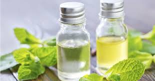 Mentha Oil Today Rate Today Russia Low Oil Prices