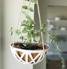 Ivory Xx Hanging Planter