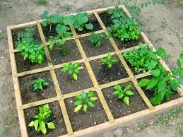 Square Foot Gardening For Kids