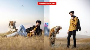 tiger concept photo editing background