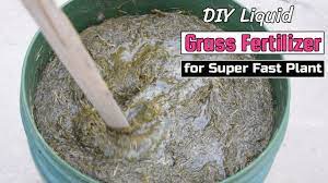 diy liquid gr fertilizer for super