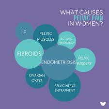 causes of women s pelvic pain pelvic