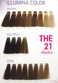 Sunkissed By Illumina Hair Color Formulas Hair Color