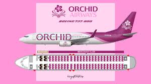orchid airways boeing 737 800 livery