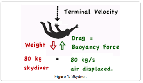 Buoyancy Explains Terminal Velocity In