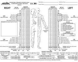 Worksheet For An Imaginary Patient With A Spinal Cord Injury