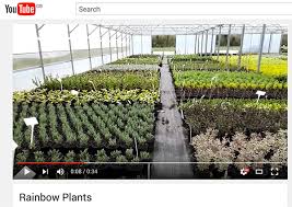 Explore Our Whole Plant Nursery On