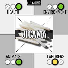 jicama benefits side effects acidic