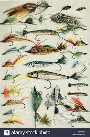 Fishermans Lures And Game Fish Food With Colored Pictures