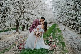 Fairytale Magic In A Cherry Blossom