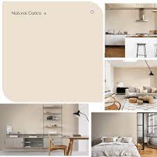 What Colour Is Dulux Natural Calico