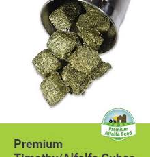 premium timothy alfalfa cubes premium