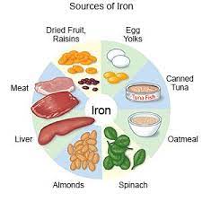 iron rich t what you need to know