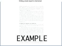 Sample Book Report Format Multiple Book Review Essay Example Sample