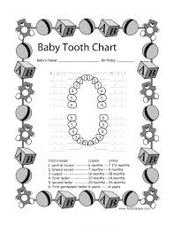 Names Of Baby Teeth Chart Www Bedowntowndaytona Com