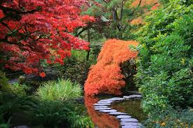 Japanese Gardens Dear Plants