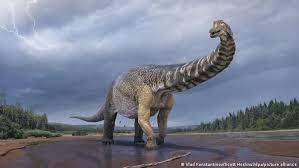 Información, novedades y última hora sobre dinosaurios. El Dinosaurio Mas Grande De Australia Es Identificado Como Una Nueva Especie Ciencia Y Ecologia Dw 08 06 2021